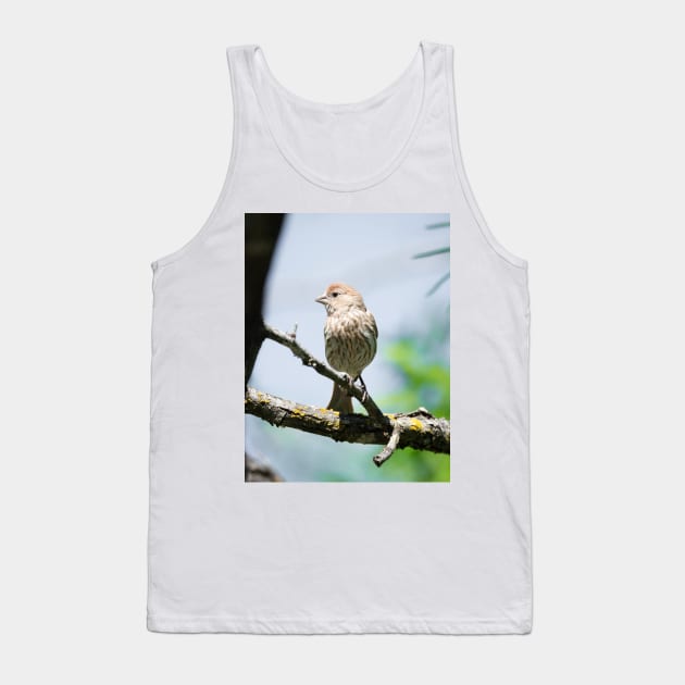 House Finch Profile Tank Top by Debra Martz